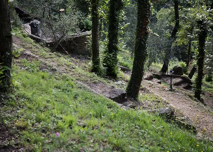 Montefiore Apartmán